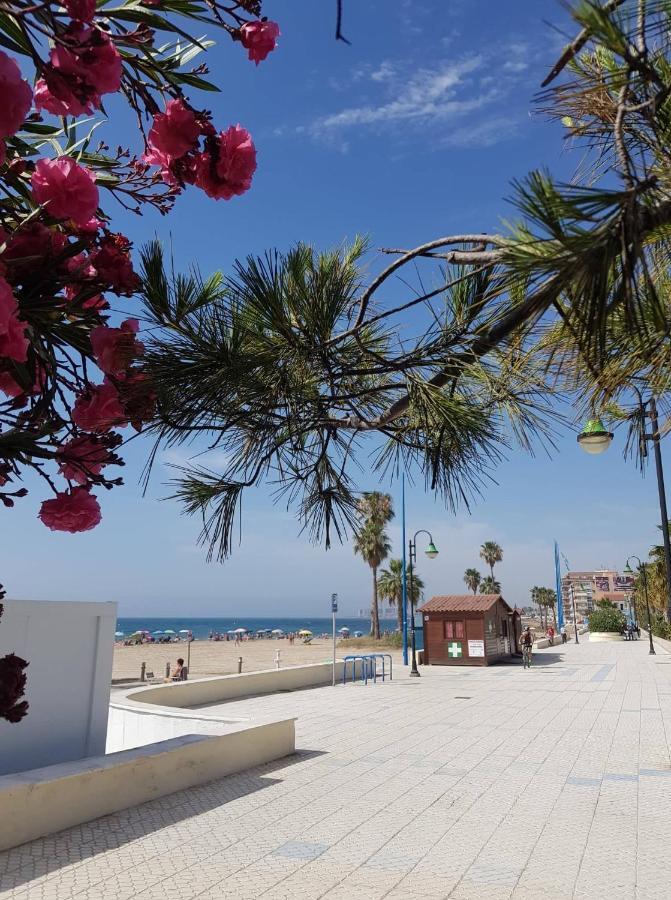 "Vero Vijola" In Torrevieja Exteriér fotografie